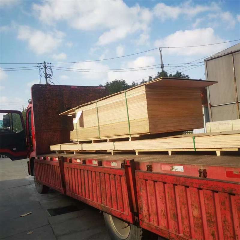 温岭到河北物流公司——一站式服务，让货运更便捷